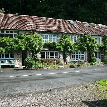 The Bark House Otel Tiverton  Dış mekan fotoğraf