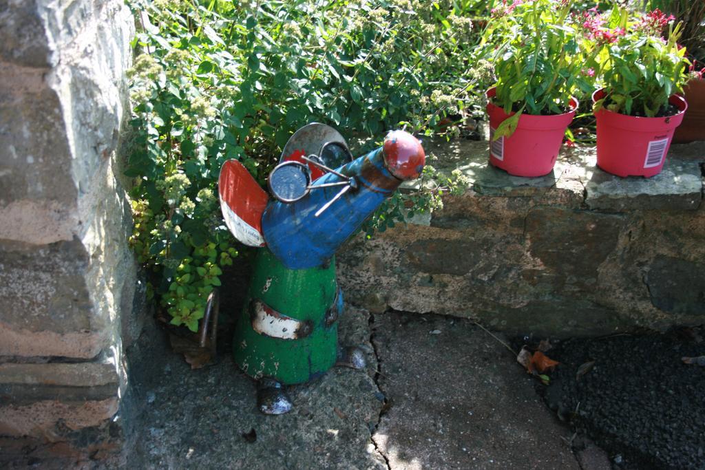 The Bark House Otel Tiverton  Dış mekan fotoğraf