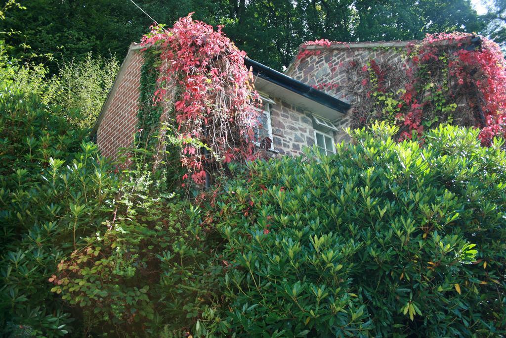 The Bark House Otel Tiverton  Dış mekan fotoğraf