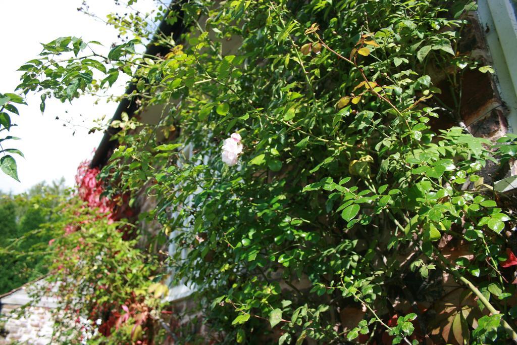 The Bark House Otel Tiverton  Dış mekan fotoğraf