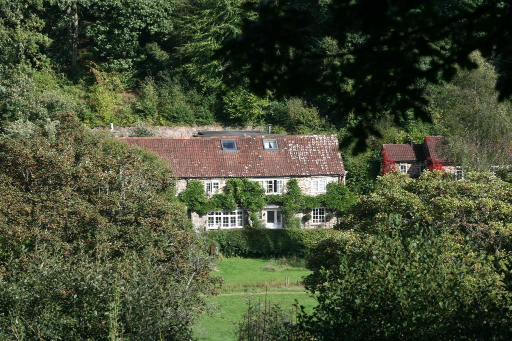 The Bark House Otel Tiverton  Dış mekan fotoğraf
