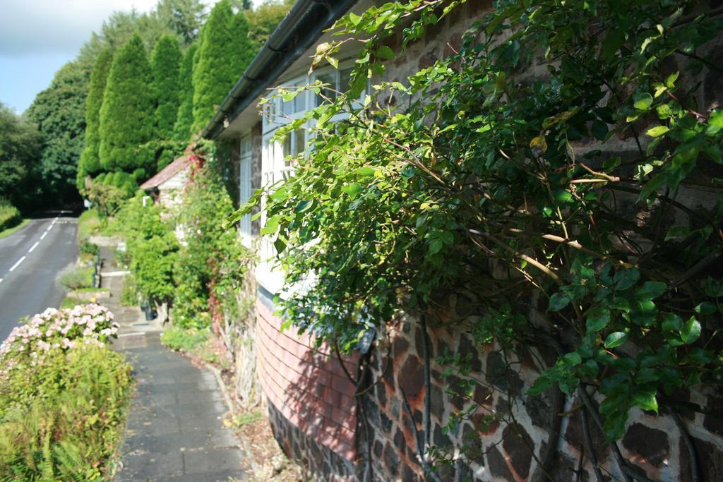 The Bark House Otel Tiverton  Dış mekan fotoğraf